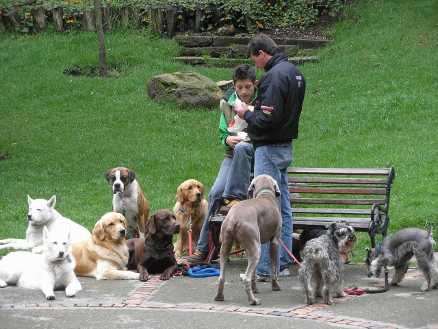 bogota