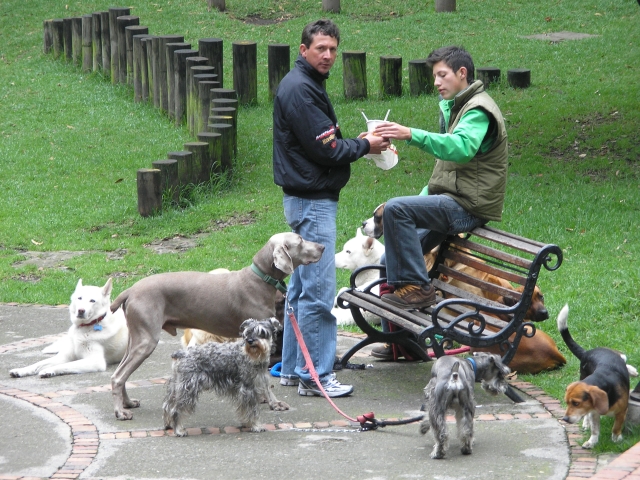 bogota